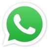 Dasher Website Design - Floating WhatsApp Button